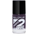 2 weeks Varnish - # 759 (Rasin)